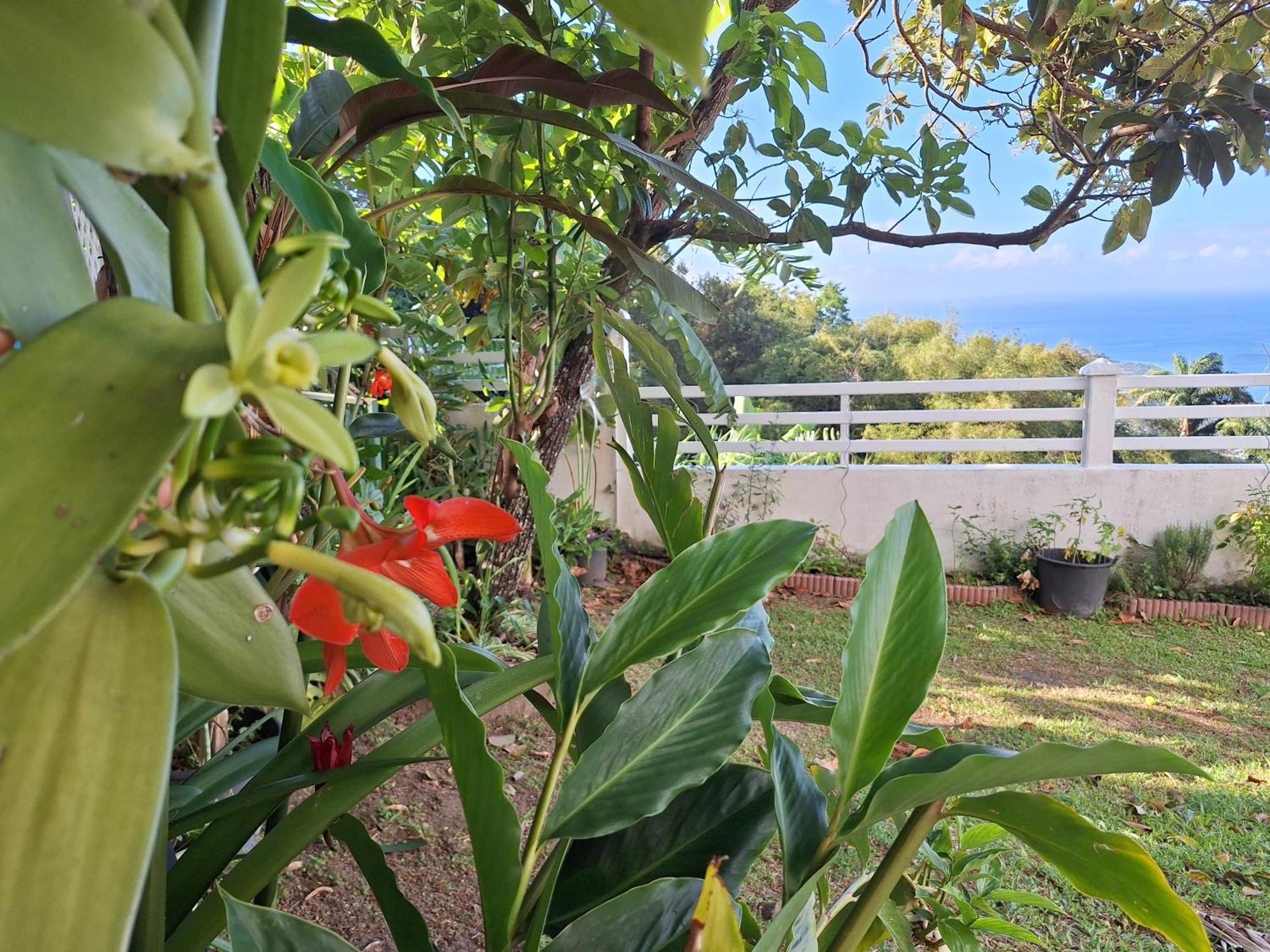 Belavue & Spa Prive, Avec Vue Panoramique Sur Mer, Jardin Creole Paysager, Jacuzzi Prive Bouillante Phòng bức ảnh